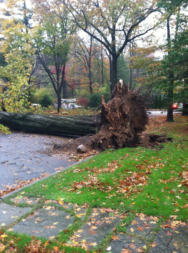 Hurricane Sandy Destruction 4